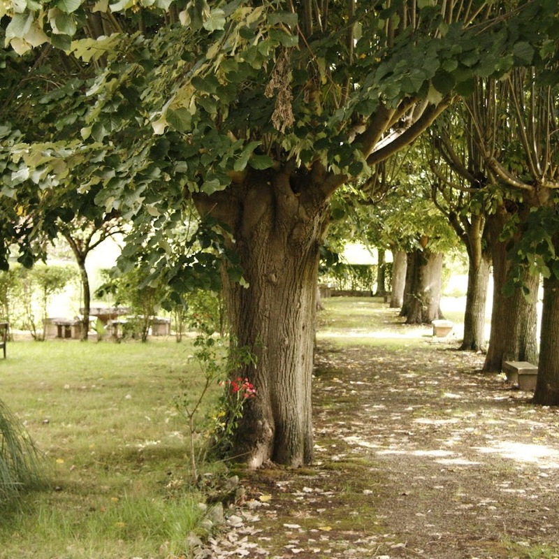 Harana Palacio de Oharriz